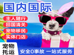 佳木斯东郊机场物流国际宠物托运 【国